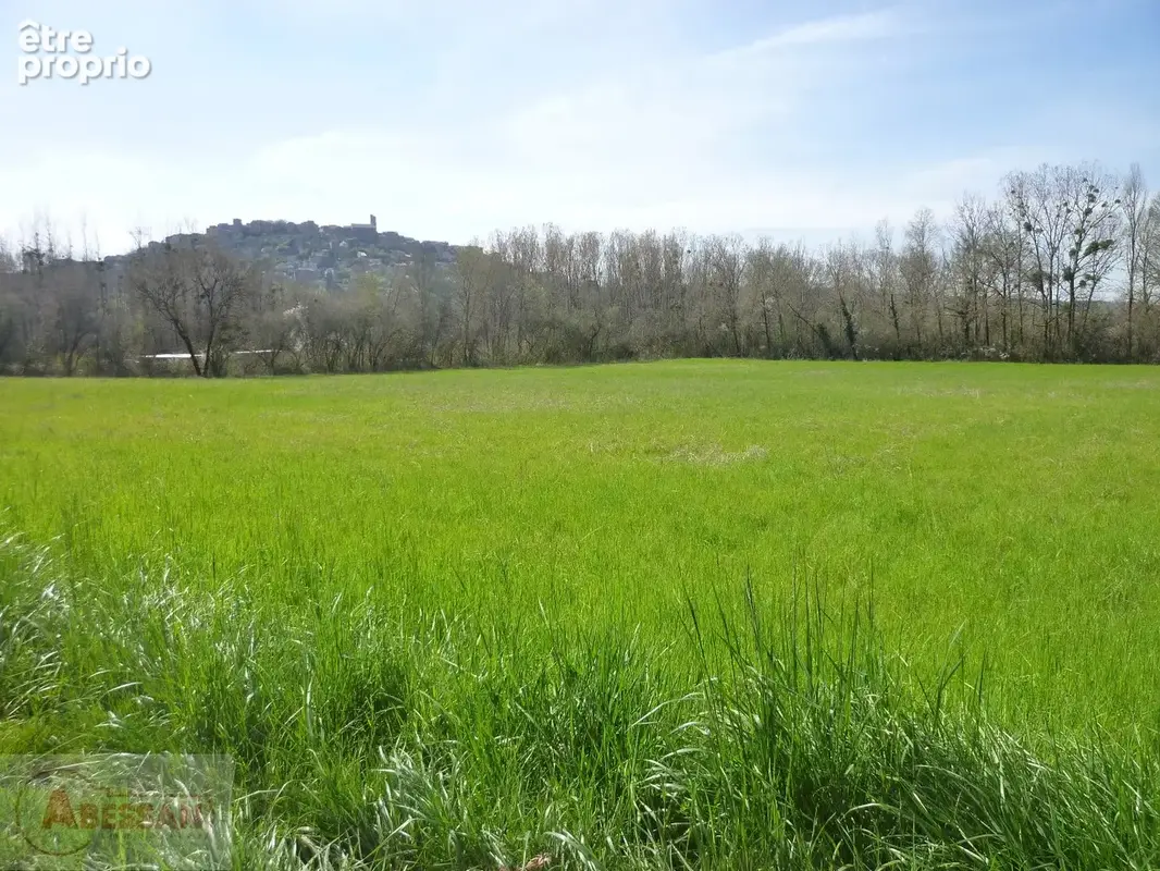 Terrain 10000 m² à Cordes-Sur-Ciel  - photo 4