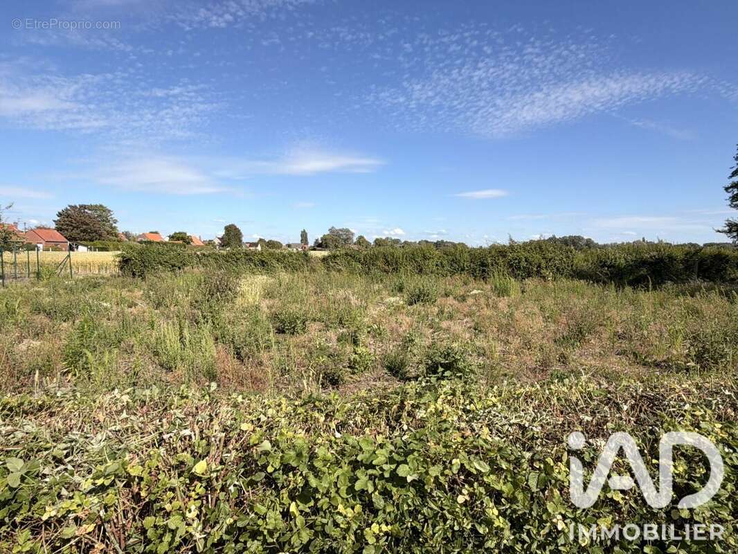 Terrain 631 m² à Looberghe  - photo 2