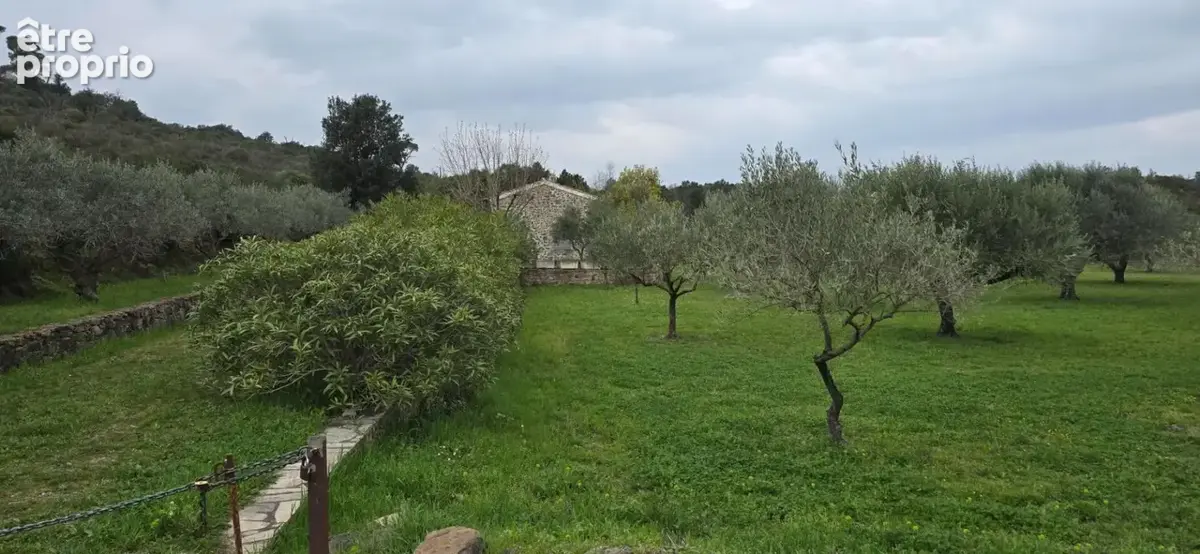 Le muy  authentique cabanon provençal en pierre avec oliveraie de 4392m² - photo 6