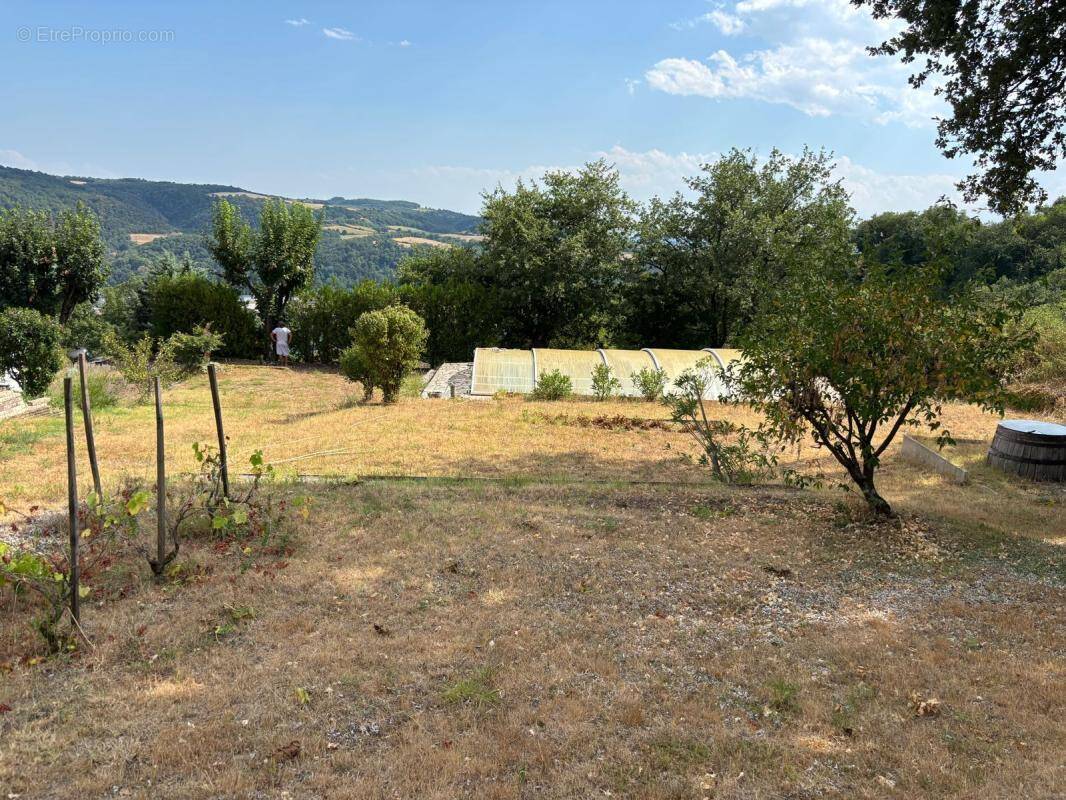 Terrain à SAINT-CYR-SUR-LE-RHONE