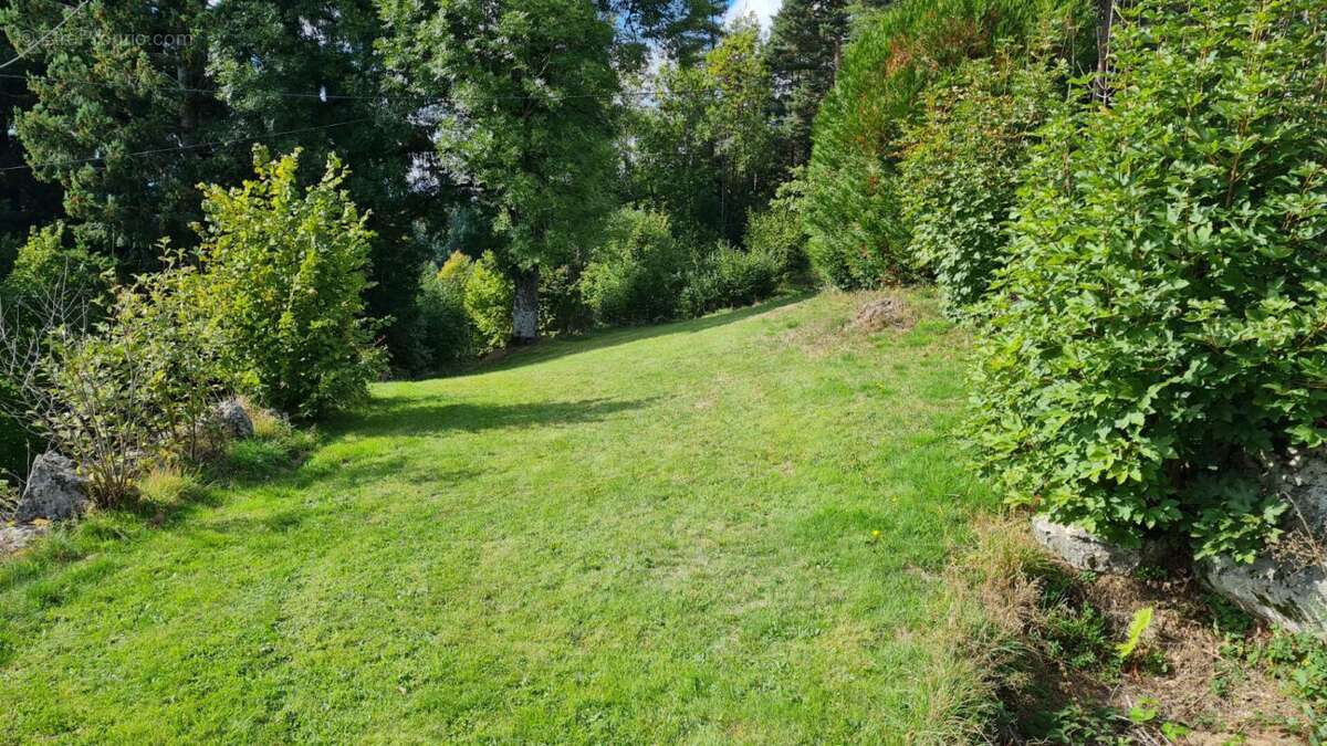 Maison à SAINT-PAL-DE-MONS