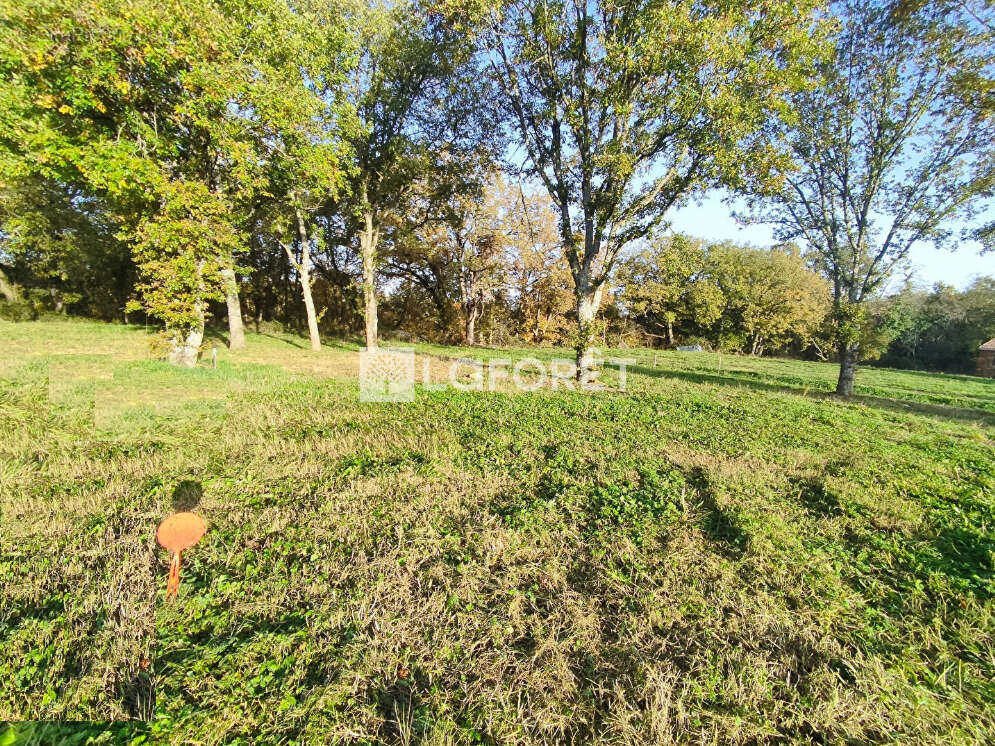 Terrain à PUYDANIEL