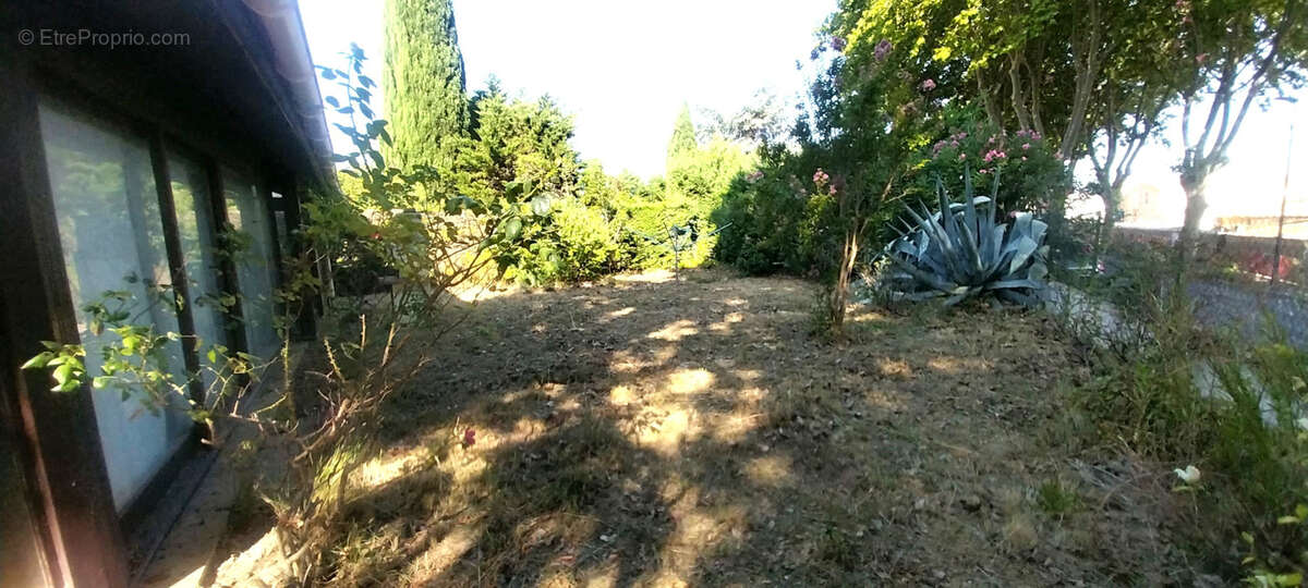 Villa Salles D'Aude - photo 4