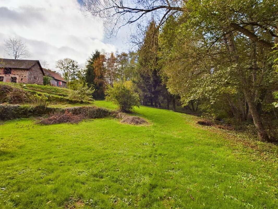 Maison à SAINT-MARTIN-DE-LA-MER