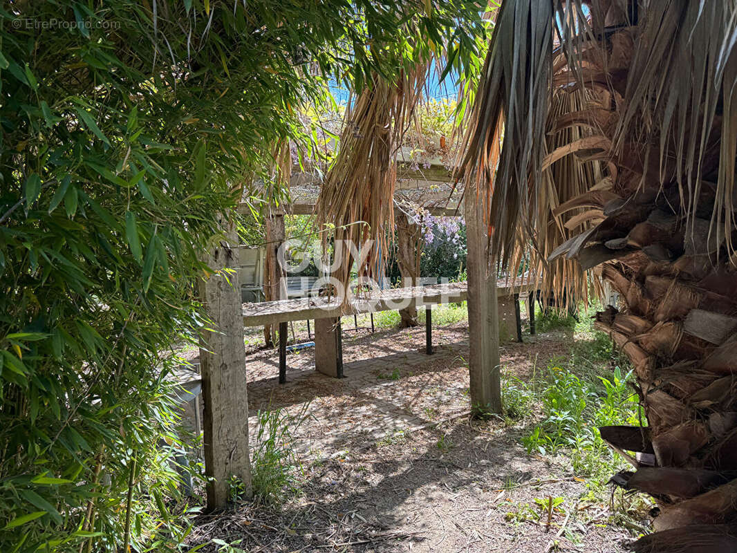 Terrain à SAINT-CYPRIEN