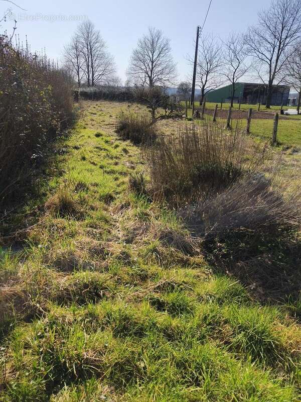 Maison à CHAMPSECRET