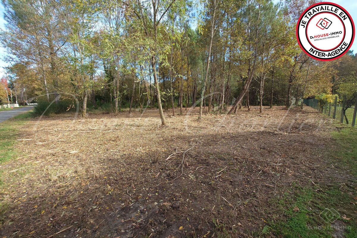 Terrain à SAINT-SAUVEUR