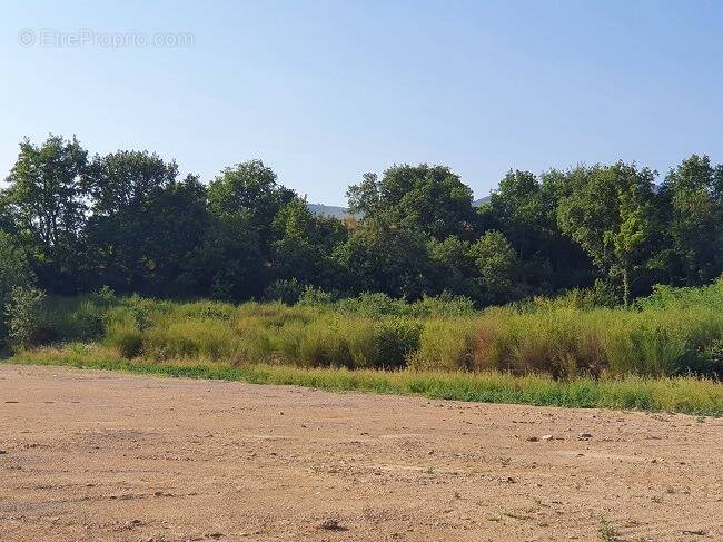 Terrain à POLLESTRES