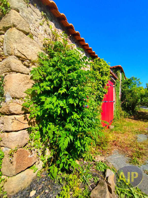 BEAUFOU - Grange à rénover - photo 5