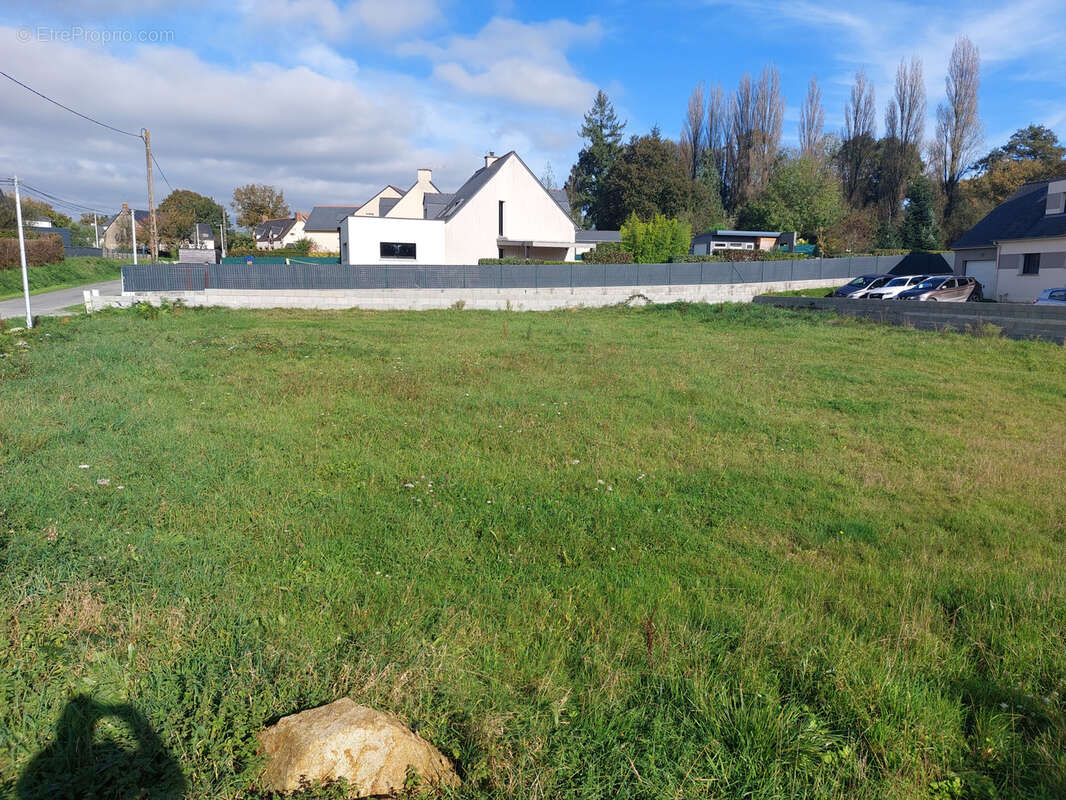 Terrain à LE PERTRE