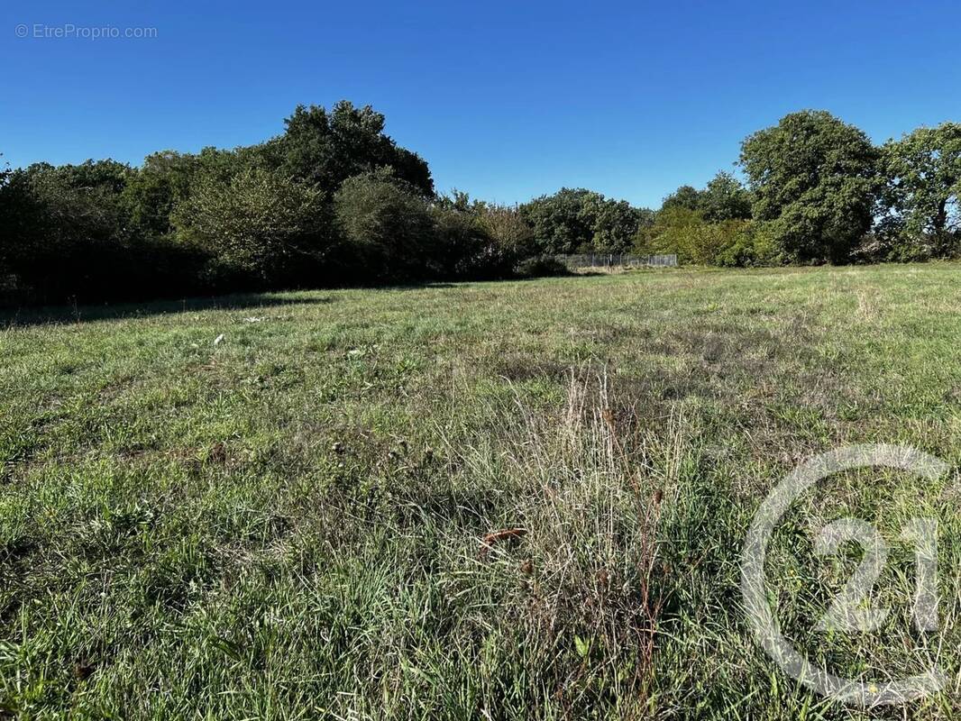 Terrain à SAINT-GENARD