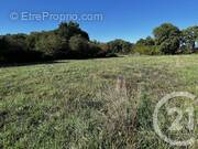 Terrain à SAINT-GENARD