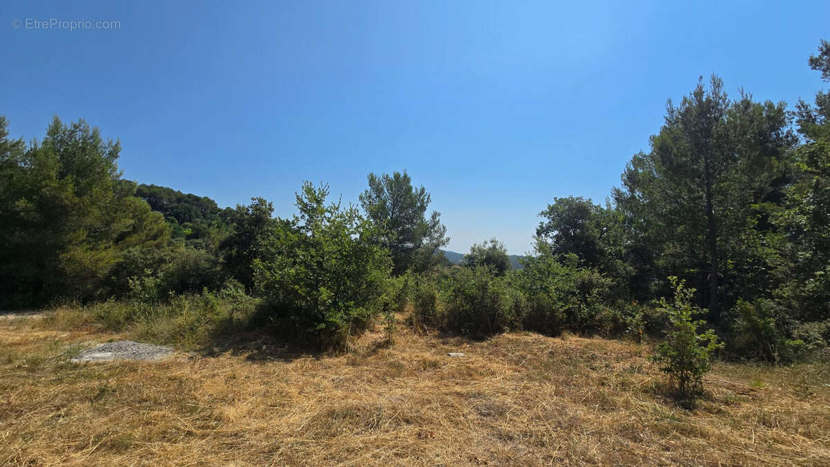 Terrain à vendre de 1160 m² à Vernegues - Exposition Sud avec vue dégagée - photo 5