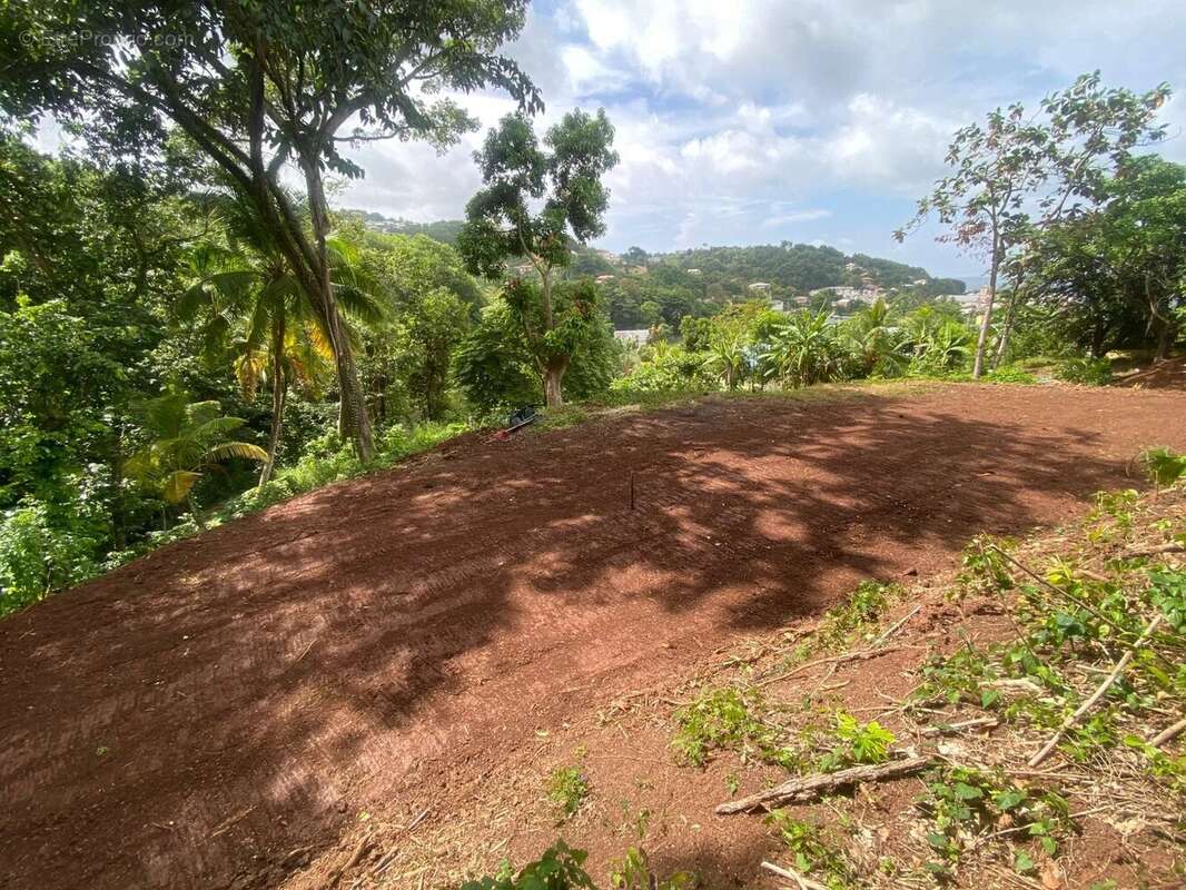 Terrain vue mer - 2479 m² - la trinite - photo 4