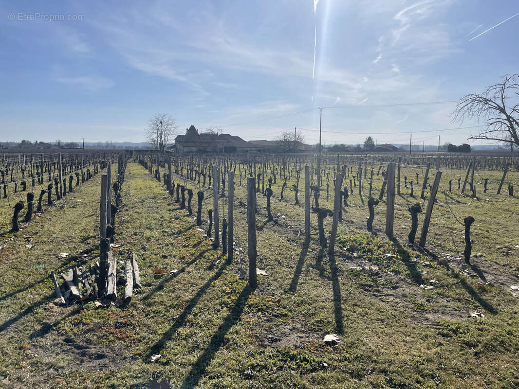 Maison à SAINT-HIPPOLYTE