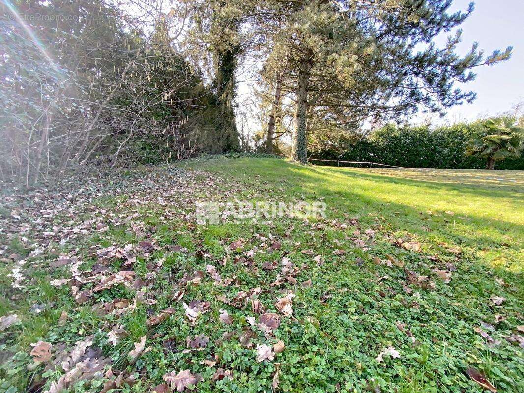 Terrain à TEMPLEUVE