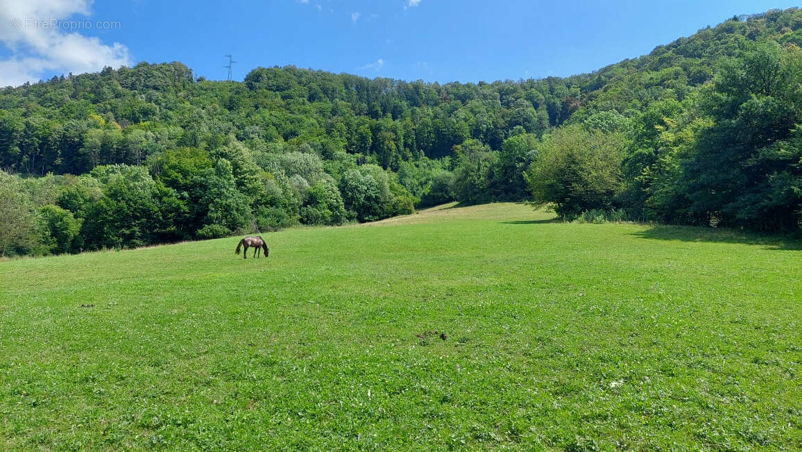 Propriété equestre  de 26.6 hectares avec 2 bâtiments et partie habitation de 370m2 - photo 9