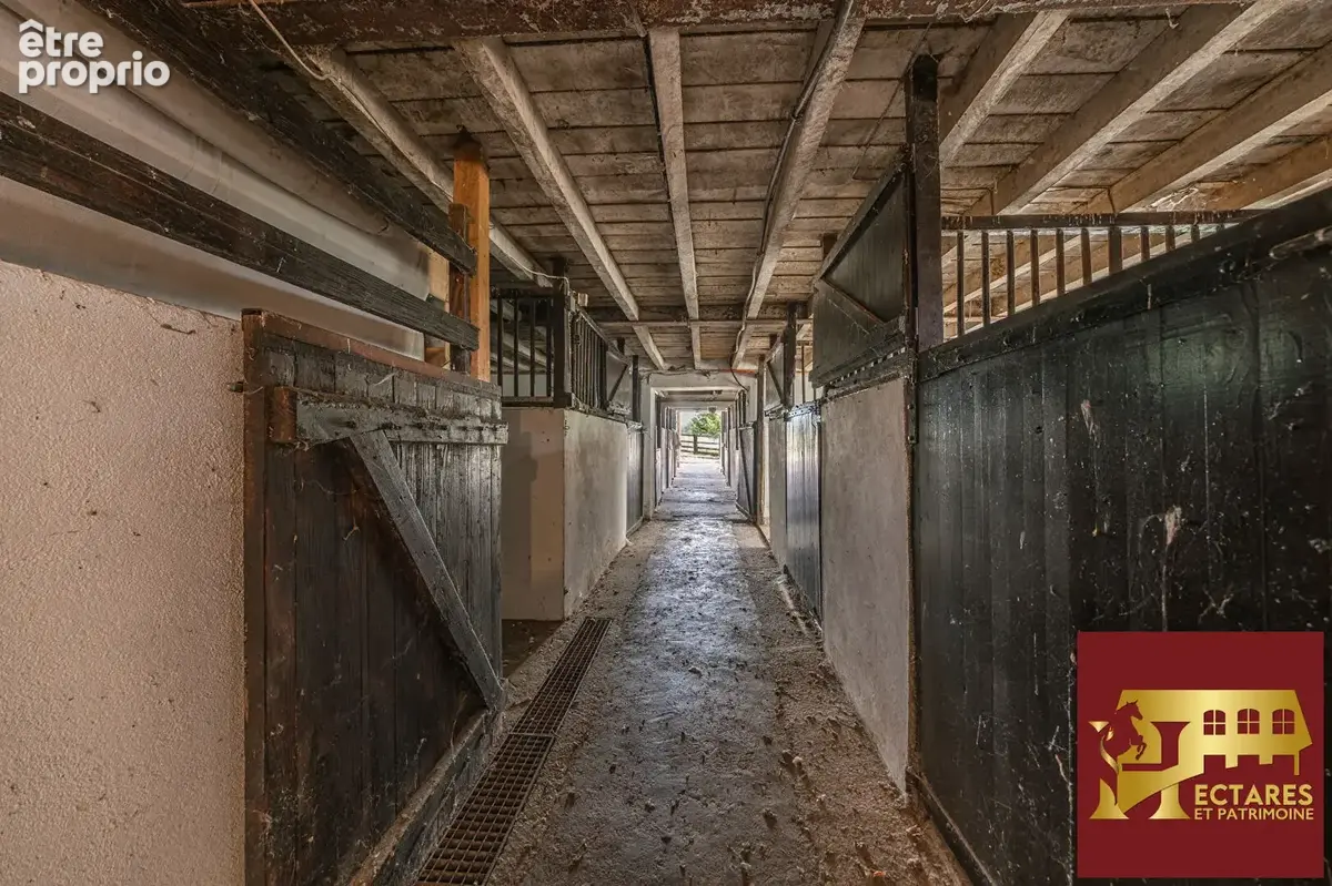 Magnifique domaine 6,4 hectares + fermages - photo 7