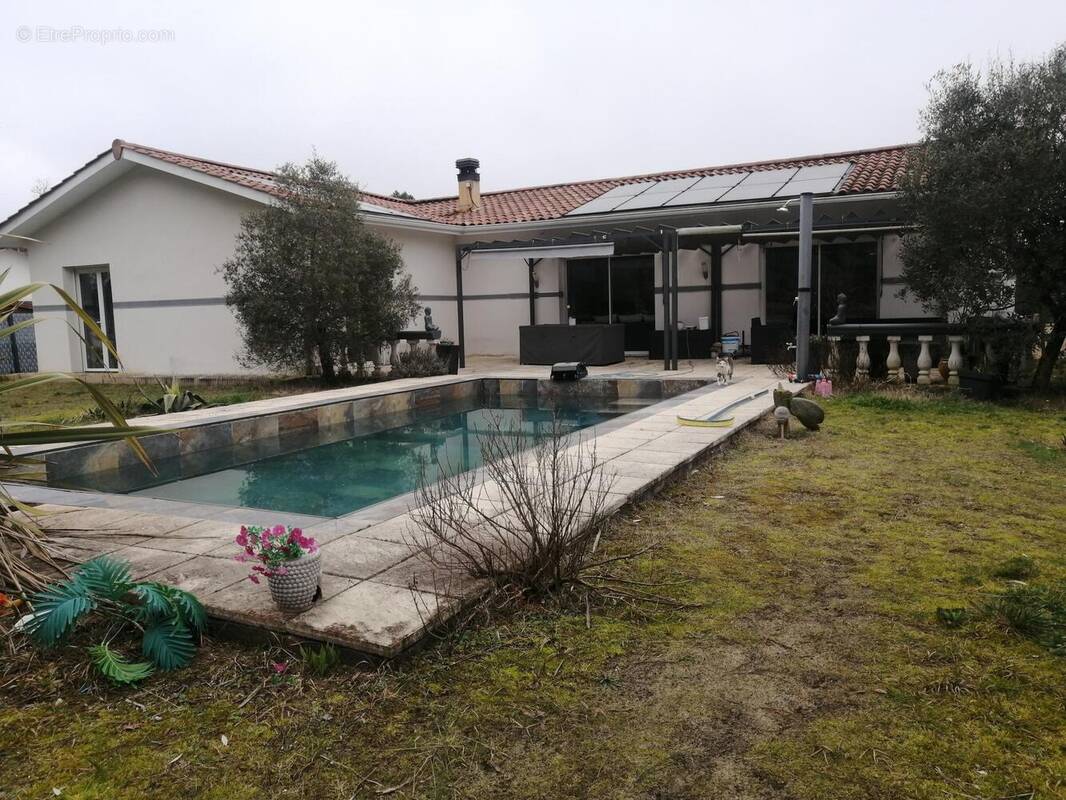 Photo 1 - Maison à LUXEY