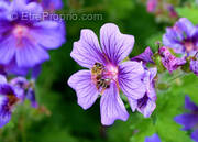 Appartement à SAINT-PAUL-LES-DAX