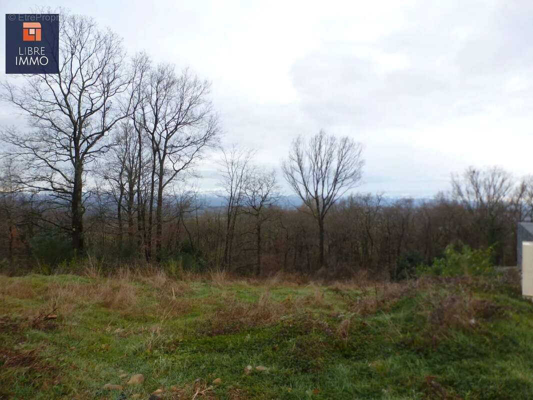 Terrain à SERRES-MORLAAS