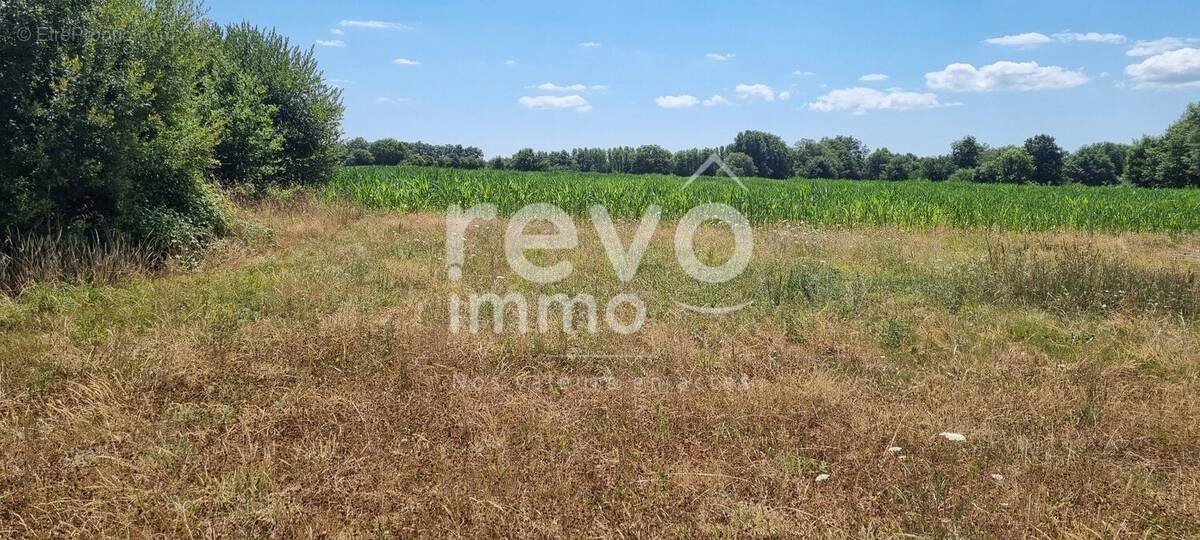 Terrain à SAINT-ETIENNE-DU-BOIS