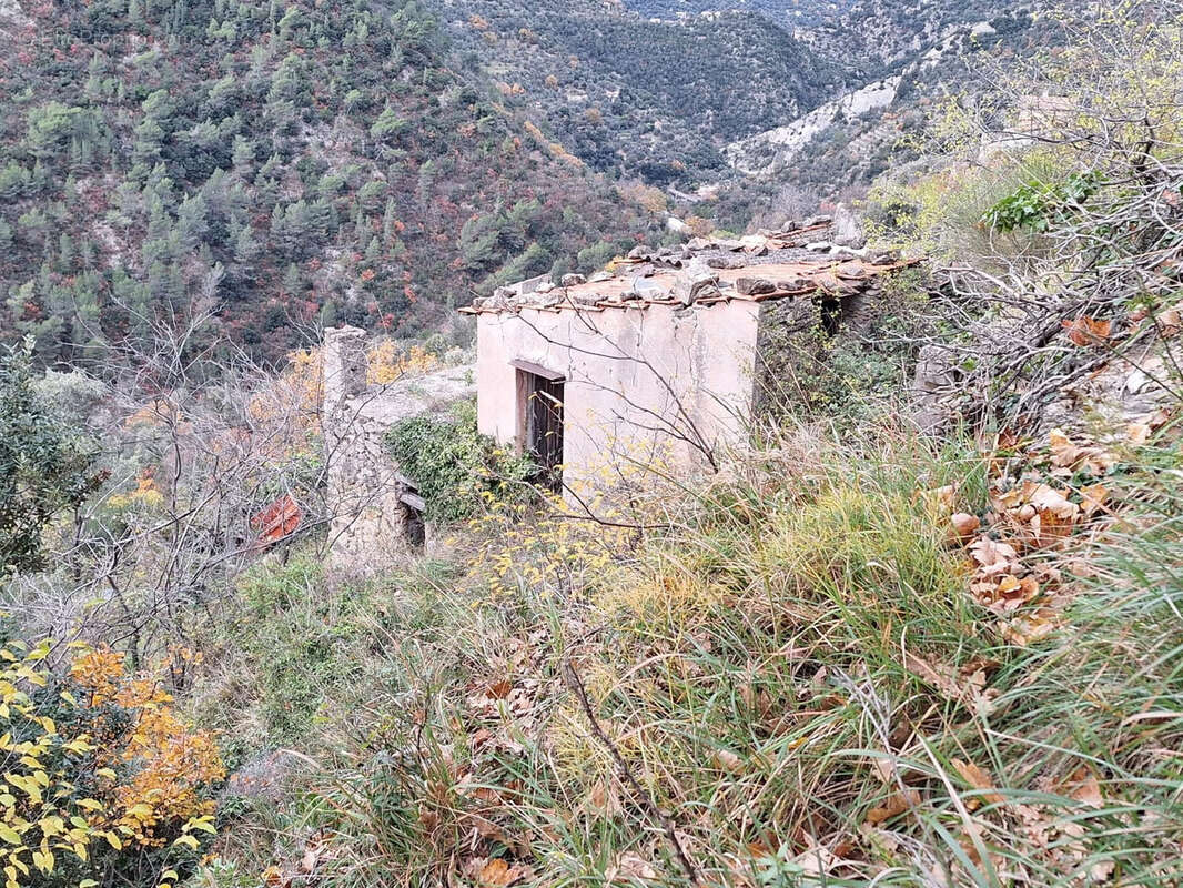 Maison à BREIL-SUR-ROYA