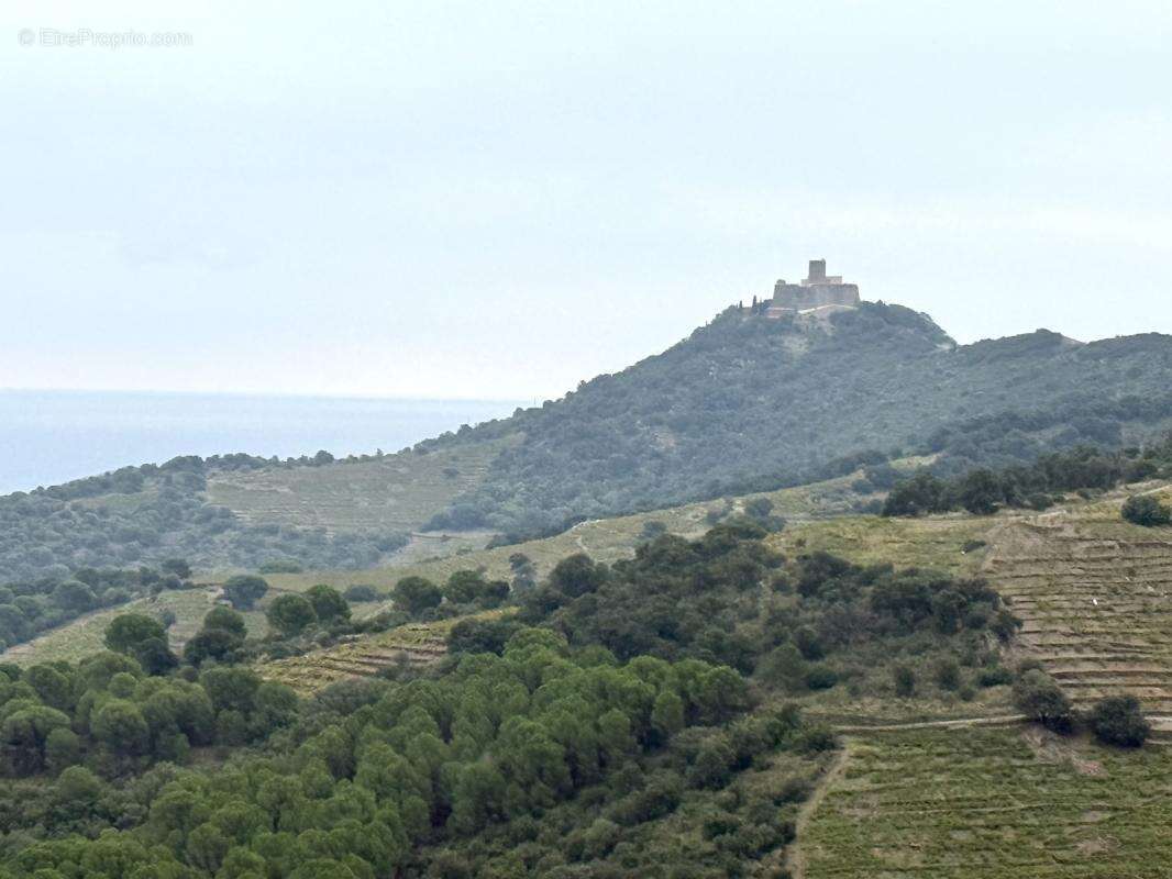 Terrain à COLLIOURE