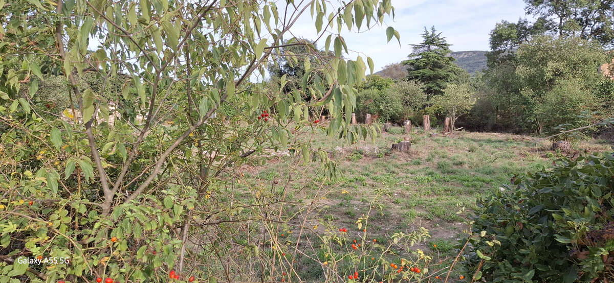 Terrain à batir à Laroque - photo 6