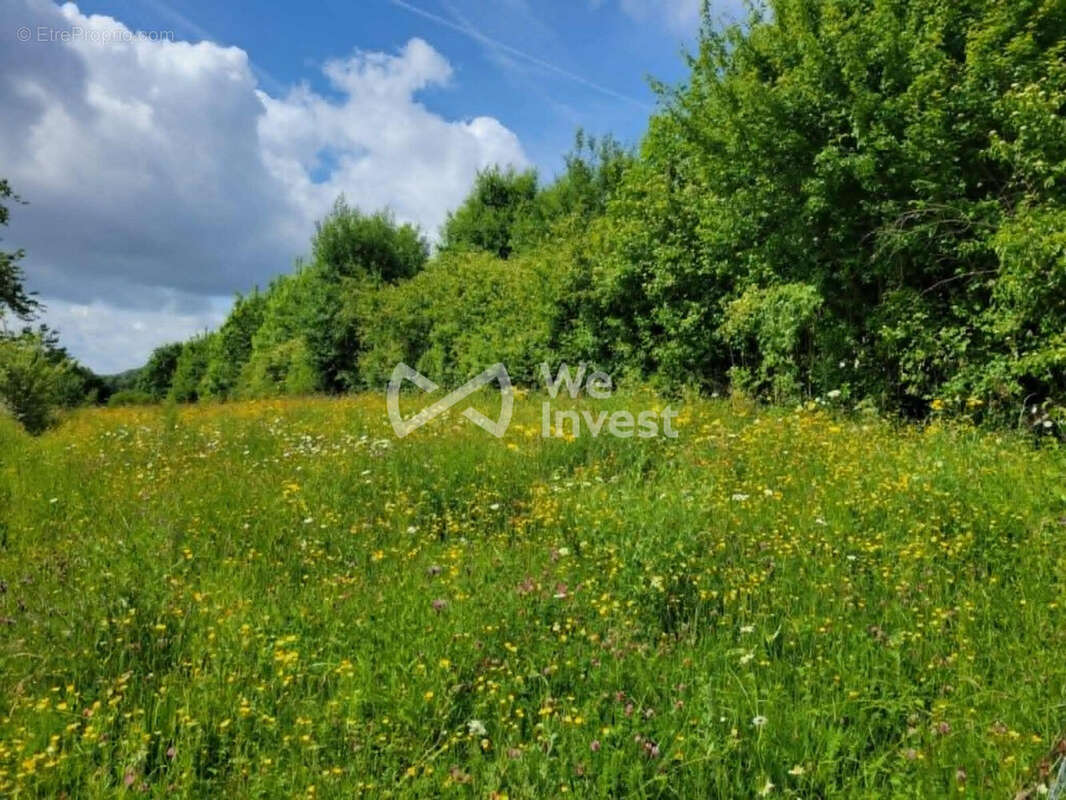 Terrain à VILLERS-CERNAY