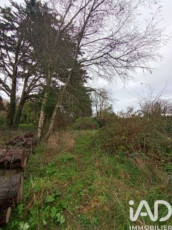 Photo 9 - Maison à BERRIEN