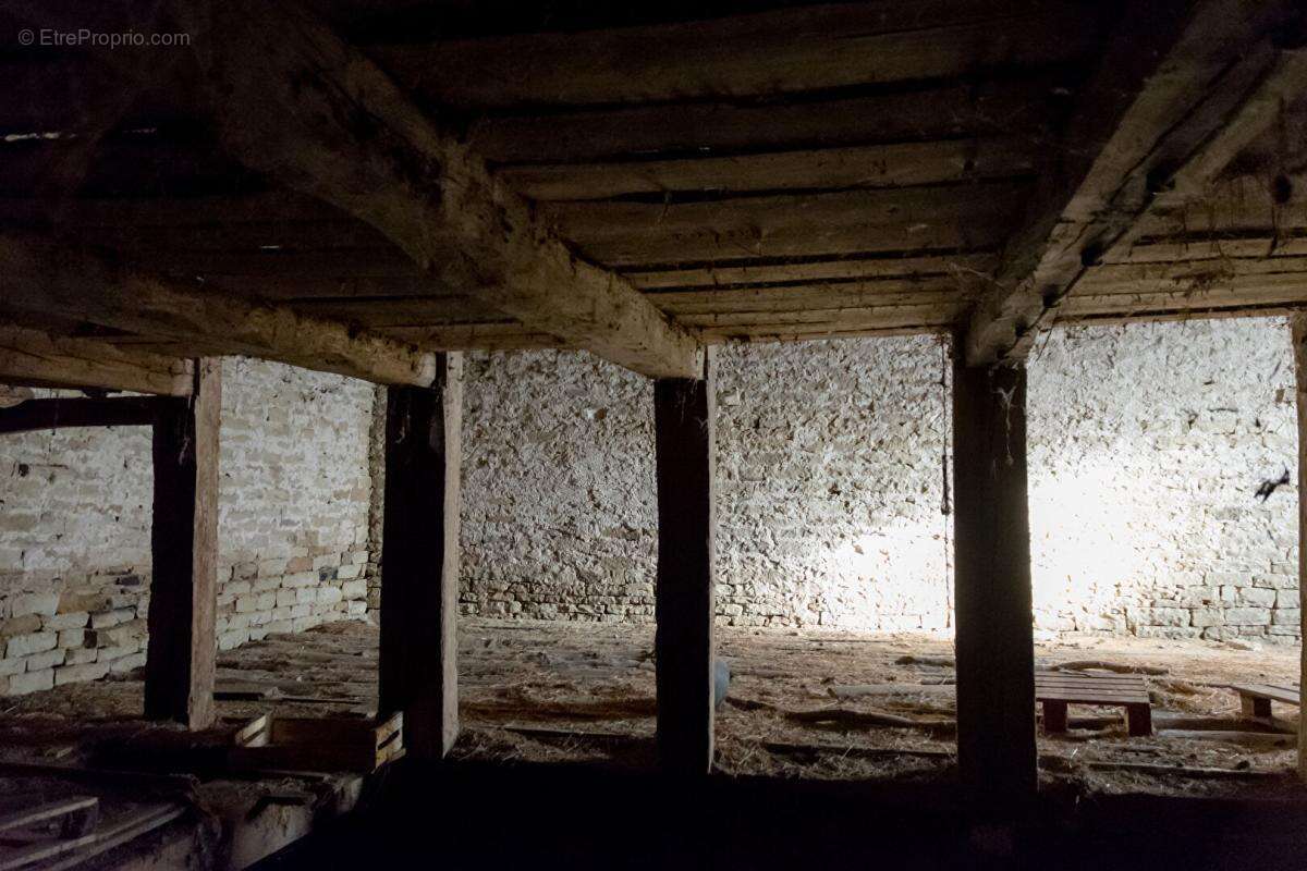 Maison  à rénover avec plus de 3 ha - photo 11