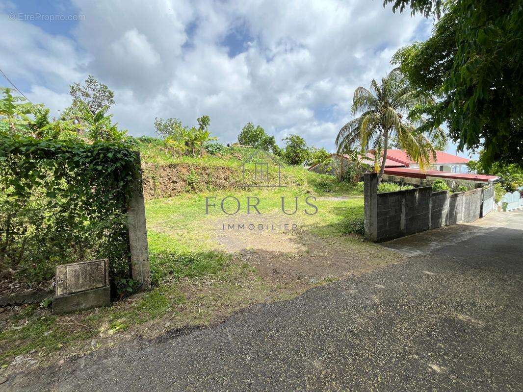 A VENDRED : Terrain 545m² GOURBEYRE (97113) - photo 4
