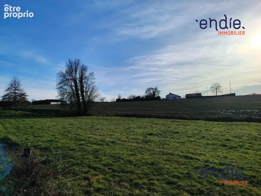 Terrain 1 225 m² à vendre à Poudenx (40700) - photo 2