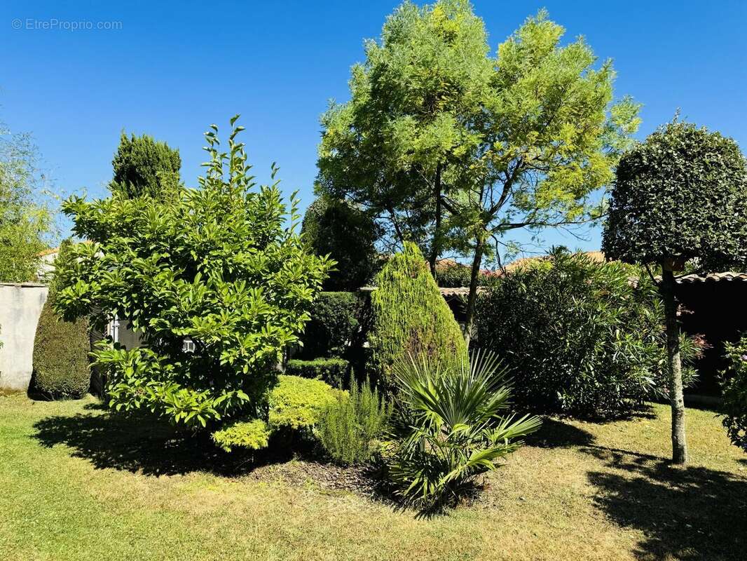 Maison 117 m² à Cozes  - photo 2
