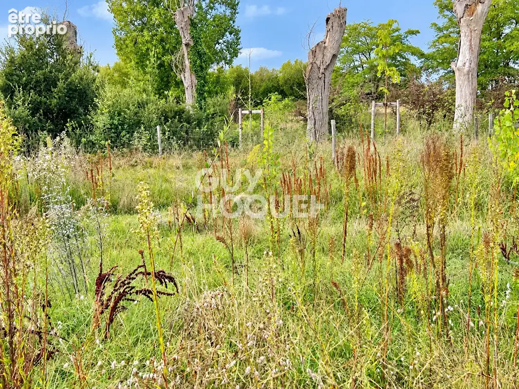 Photo Terrain à Saint-Jean-De-Monts au prix de 92 600€