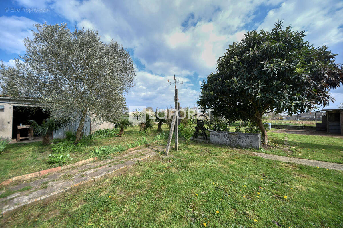 Maison à LISLE-SUR-TARN