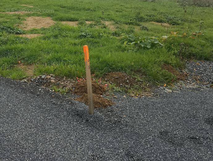 Terrain à ARTHON-EN-RETZ