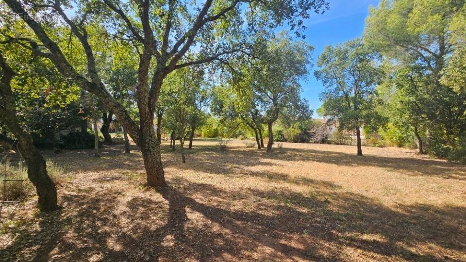 Terrain à LE CANNET-DES-MAURES