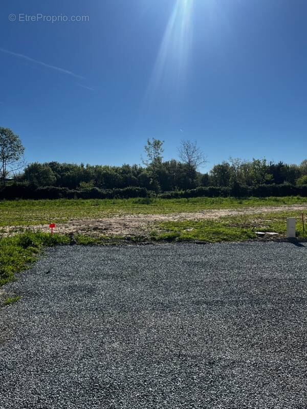 Terrain à CHALLANS