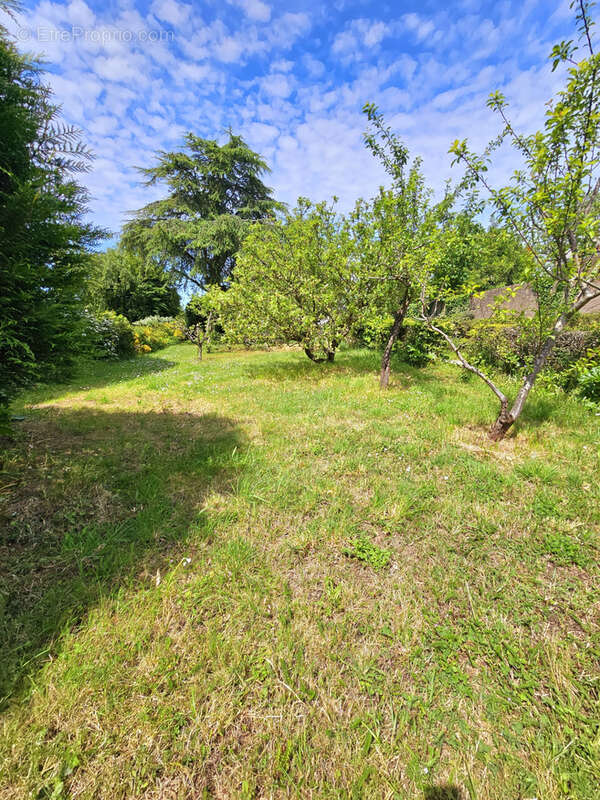 Terrain à SAINT-NAZAIRE
