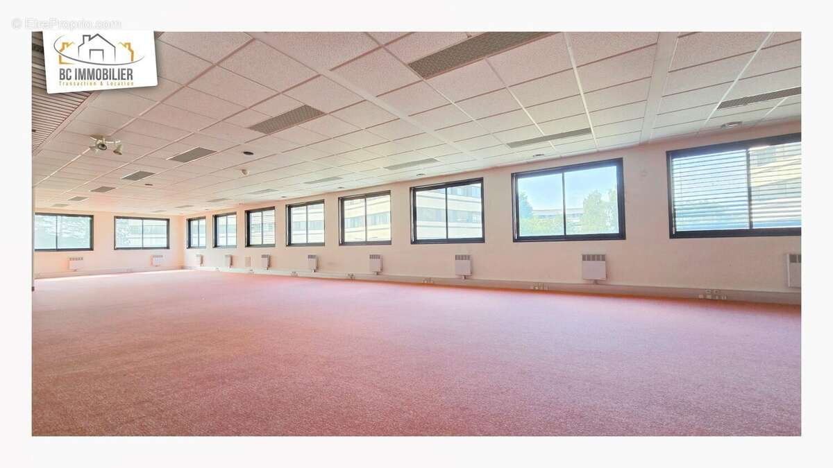 Commerce 270 m² à Ferney-Voltaire  - photo 4
