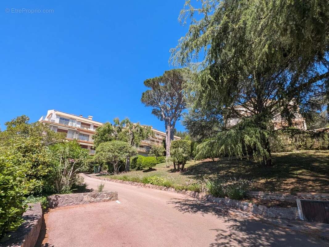 Superbe appartement t2 calme / vue mer grande terrasse et garage - photo 14