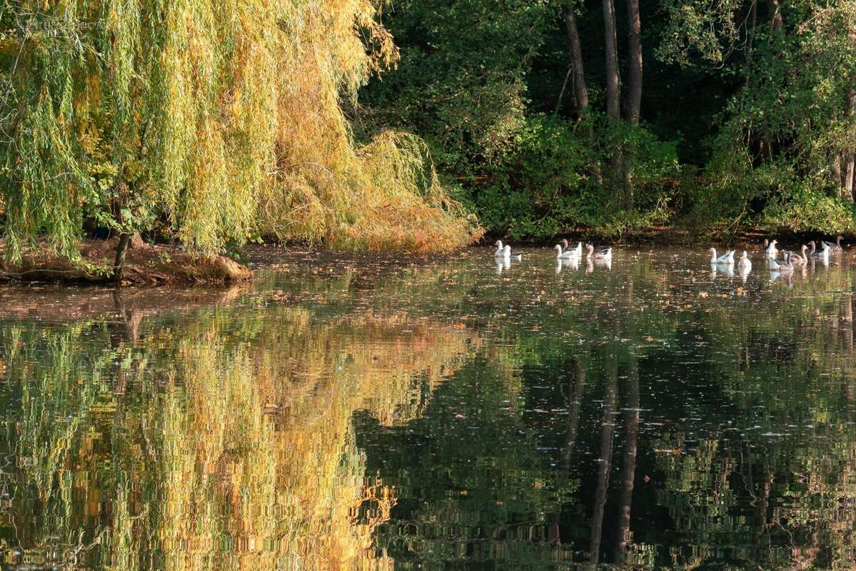 Maison à SAINT-PAUL
