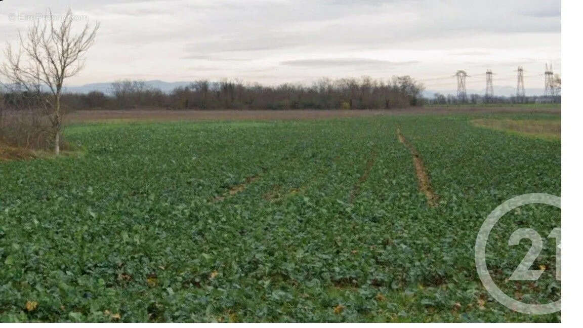 Terrain à GENAS