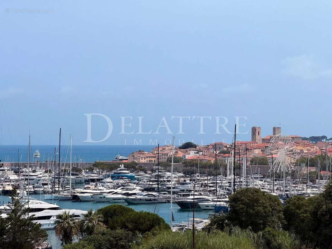 Vue panoramique Vieil Antibes, Port Vauban, Fort carré - photo 3