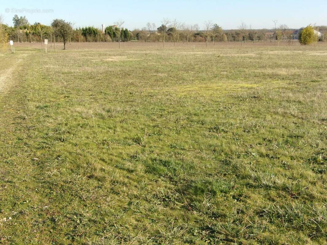 Terrain à COUTURE-D&#039;ARGENSON