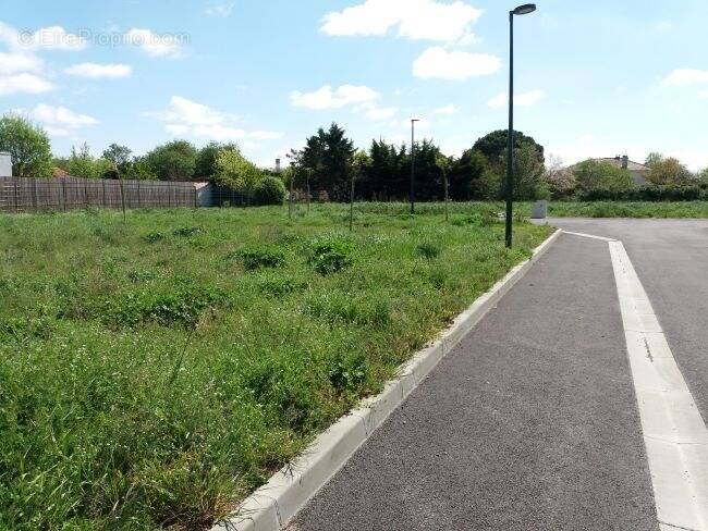 Terrain à LAMASQUERE