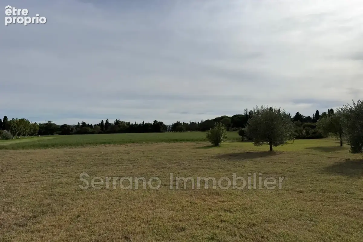 Maison 5 pièces 99 m² à vendre à Maillane (13910) - photo 7