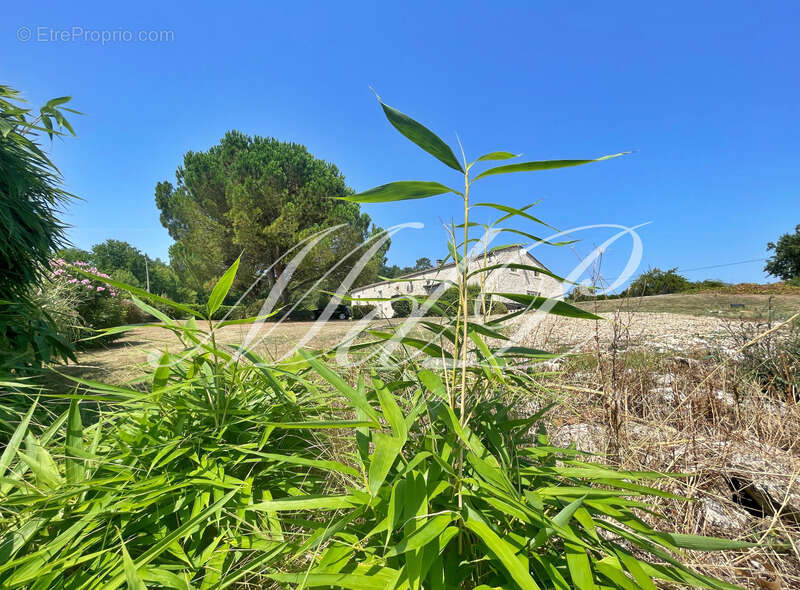 Longère avec vue fantastique  (33) - photo 4